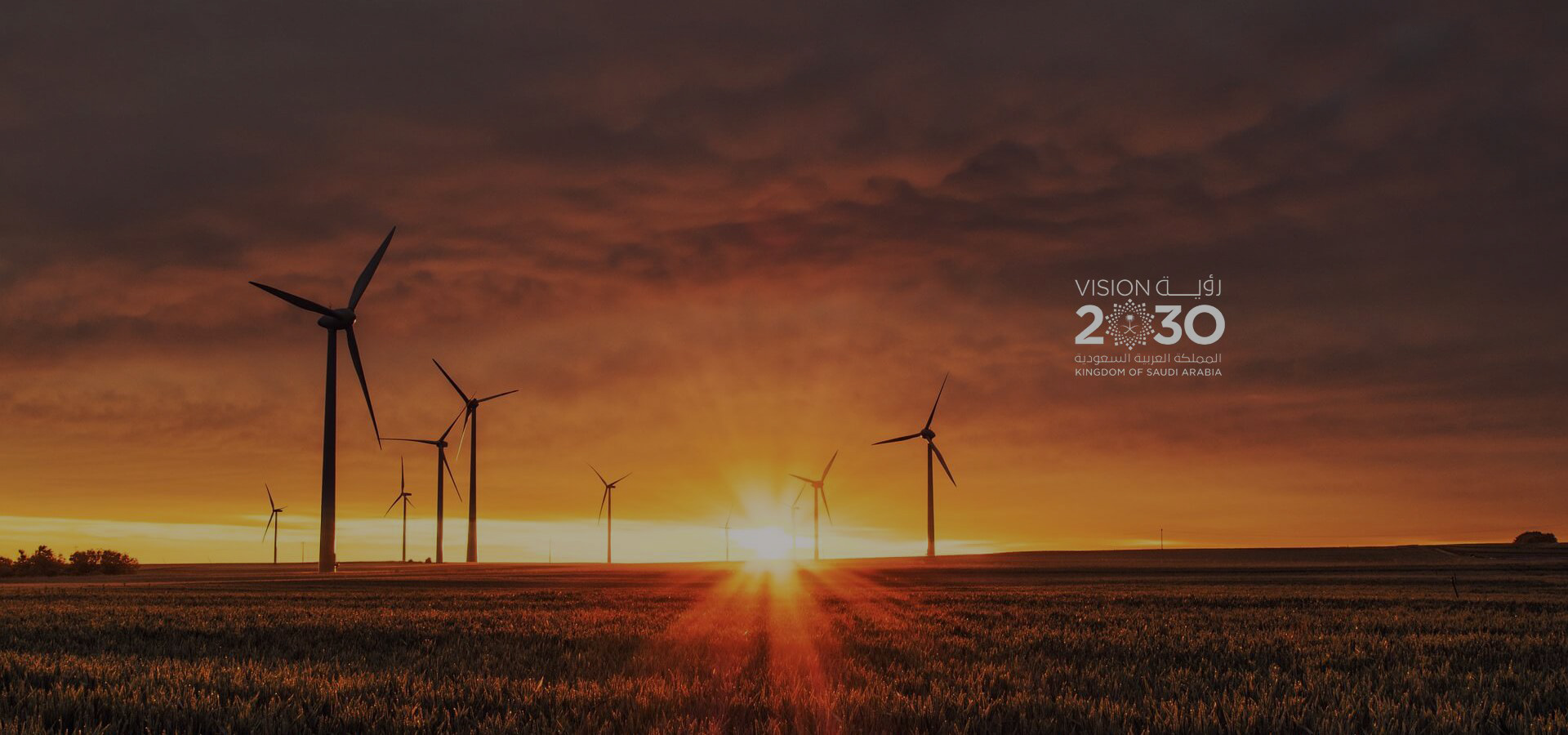 Sunrays WordPress Theme